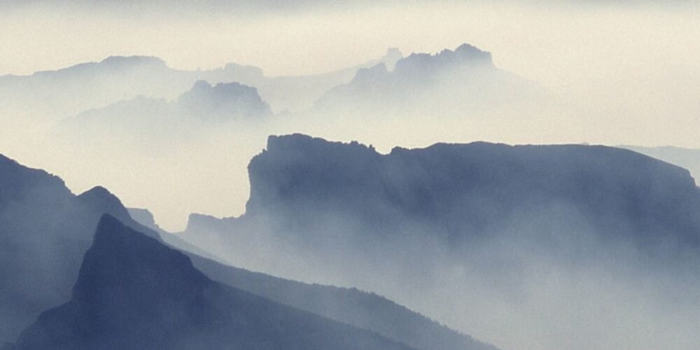 Saffron Paige Harrison